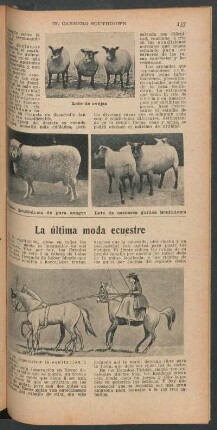 La última moda ecuestre