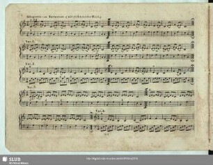 Allegretto con Variazioni