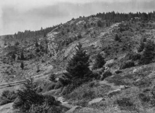 Berglandschaft : Blick auf Waldflächen auf dem Bergrücken und Bergehänge mit einzelnem Baumbestand und Felsen im Vordergrund