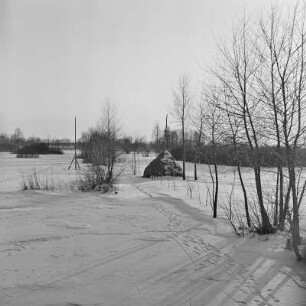 Landschaftsbild. Winter im Spreewald. : Wobraz krajiny. Zyma w Błótach.
