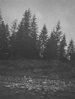 Gesicherter Hang : Ein durch eine Felsenmauer gesicherter Berghang, darüber Wald