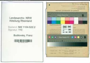 Entnazifizierung Franz Budilovsky , geb. 07.05.1900 (Arbeiter)