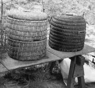 Bienenzucht im Spreewald : Handwerkstechniken - Bienenzucht und Wachszieherei. Ort: Błóta / Spreewald. Zwei Bienenstöcke