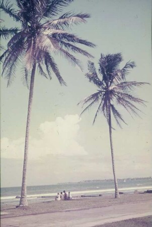 Reisefotos Karibik. Einheimische unter Palmen am Strand