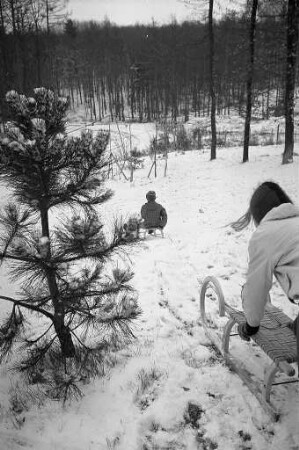 Schlittenfahren im Albtal nach Schneefall an den Weihnachtsfeiertagen.
