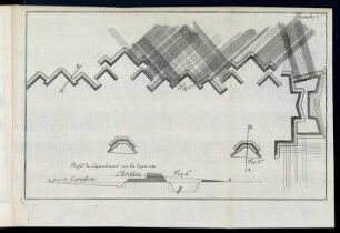 Planche 7. Fig: 1. - Fig: 3.