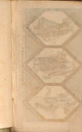 Annotations upon Twelfth night and King Henry IV., part II.