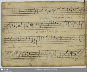 Gallus, Iacobus: Repleatur os meum