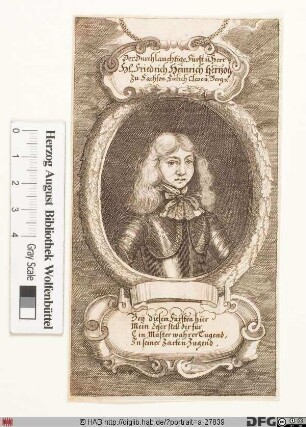 Bildnis Friedrich Heinrich, Herzog zu Sachsen-Neustadt u. Pegau (reg. 1681-1713)