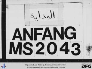 MF Mau 2043
