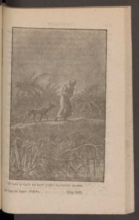 El lobo le siguió sin hacer ningún movimiento agresivo. - [Ilustración]