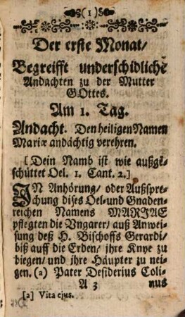 Maria eine Mutter der schönen Liebe