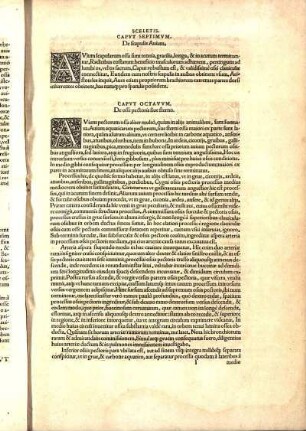 Capvt Octavvvm, De osse pectoris siue sterno.