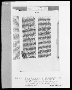 Lateinische Taschenbibel — Initiale V (ir erat), darin Verspottung des Job, Folio 192recto