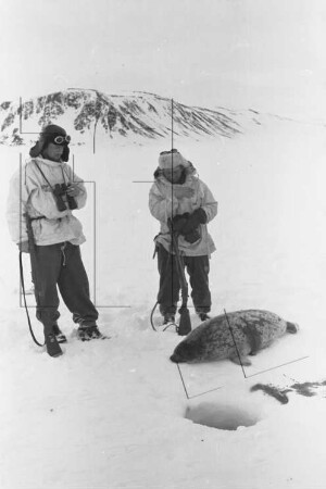 Eis vor dem Südabfall Kap Lovén : Robbenjagd (Werner Schlösser, Heinz Schneider)