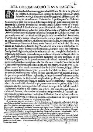 Del Colombaccio e sua Caccia
