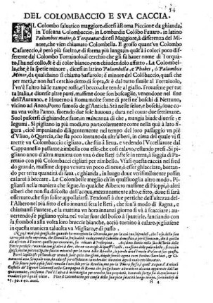 Del Colombaccio e sua Caccia