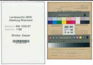 Entnazifizierung Kaspar Stricker , geb. 25.12.1903 (Landwirt)