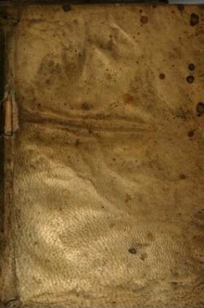 Constitvtiones Ordinis F. F. Eremitarvm Sancti Avgvstini