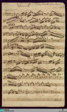 Sonatas - Mus. Hs. 731 : vl; f