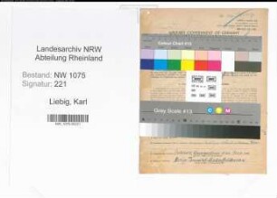 Entnazifizierung Karl Liebig , geb. 06.11.1882 (Oberpostinspektor)
