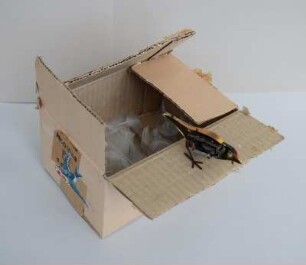 109 alle Vögel sind schon da...