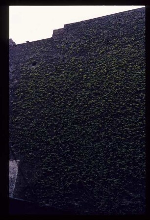 Diapositiv: Naunynstr. 31, 1983