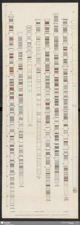 Anlage 3 (Beitrag Knak, Freib. Forsch.-H. C90). Feinstratigraphische Profile L1-L7 der Liegend-Gruppe des Kalilagers Staßfurt