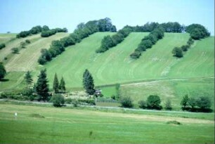 Gelängeflur am Dorf; Stufenraine mit Feldgehölzen