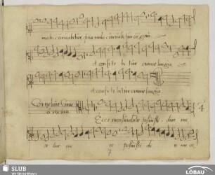 Canis, Cornelius: Ecce mensurabiles posuisti