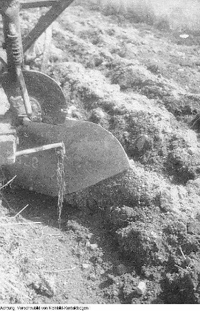 Guttau-Brösa, Ernte, 1947