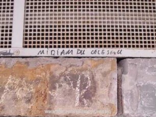 MiRiAM DU GEiLE SAU