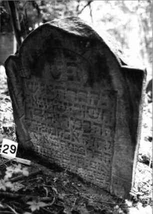 Grabstein 29 (Index: 99804104) Material: Sandstein Zustand: verwitt/eingesunken Maße HxBxT: 93x73x11 cm Beschreibung: Stele mit eingezogenem Rundbogen und profiliertem Rand: Grabstein 29