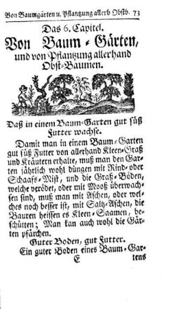 Das 6. Capitel. Von Baum-Gärten, und von Pflantzung allerhand Obst-Bäumen.
