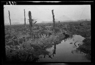 Bei Armentières (Dep. Nord, Frankreich): Wasserlache und Baumstümpfe neben einem zerstörten Schützengraben in verwüsteter Landschaft ("aus den Stellungen")