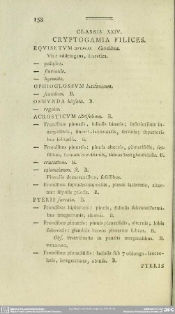 Classis XXIV. Cryptogamia Filices