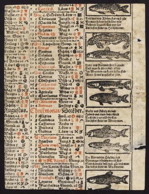 Kalender