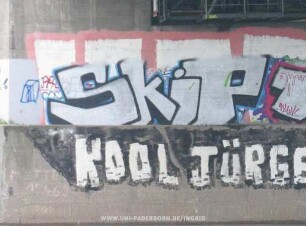 SkiP