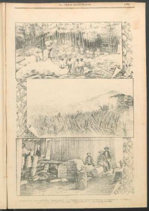 [Vistas de los] Trabajos en el camino del Pichis. : [1.] Campamento N°10. - Trabajos para el puente del Eneñas. - [2.] Campamento N° 8. - Vista del pajonal del Perené y del Yurimaguas. - [3.] Campamento N° 8. - Herrería de los indios.