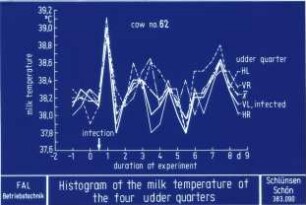 Histogram of the milk temperature of the four udder quarters