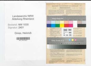 Entnazifizierung Heinrich Gross , geb. 19.04.1898 (Fahrhauer)