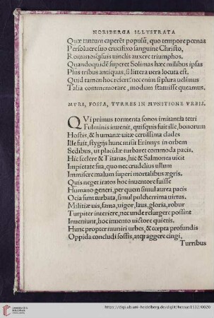 Mvri, fossa, tvrres in mvnitione vrbis