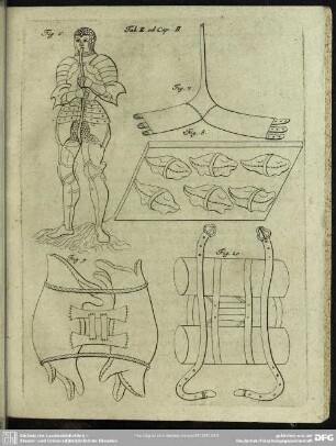Tab. II. ad Cap. II.