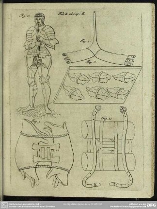 Tab. II. ad Cap. II.