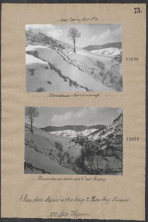 Diedolshausen: Winterlandschaft