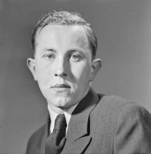 Portrait eines Mannes im Anzug