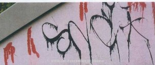Sne*