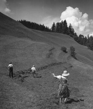 Allgäuer Alpen, Bergheuer