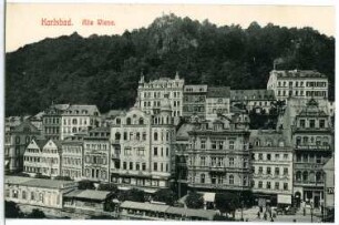 Karlsbad. Alte Wiese mit Hirschensprung