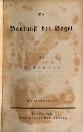 Die Baukunst der Vögel